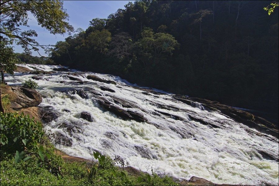 Photo of 8 Days in Kerala – Exploring Idukki with the Duke 390 6/18 by Rohit