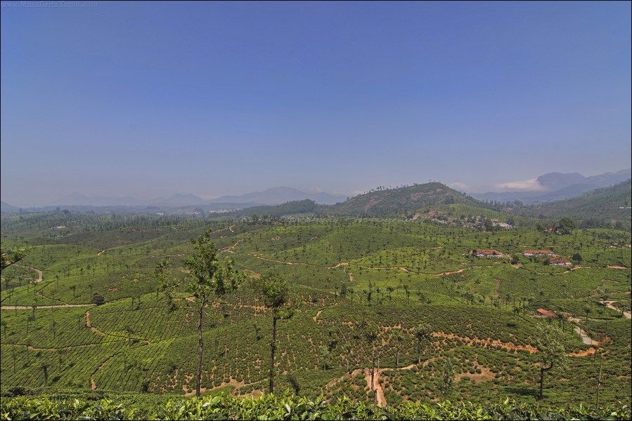 Photo of 8 Days in Kerala – Exploring Idukki with the Duke 390 7/18 by Rohit