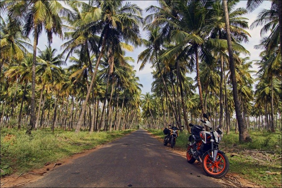Photo of 8 Days in Kerala – Exploring Idukki with the Duke 390 12/18 by Rohit