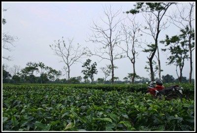 Photo of Arunachal and Meghalaya – 14 Days – A Solo Motorcycle Adventure 13/13 by Rohit