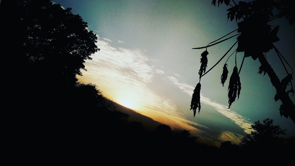 Photo of Where to Next??? 1/1 by Rini Soel