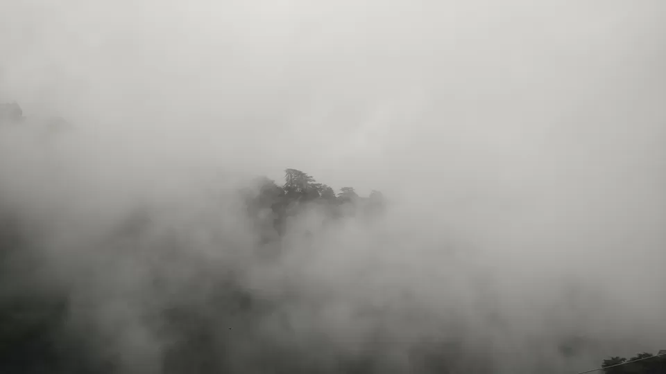 Photo of Cart Road, Talland, Chotta Shimla, Shimla, Himachal Pradesh, India by Rini Soel