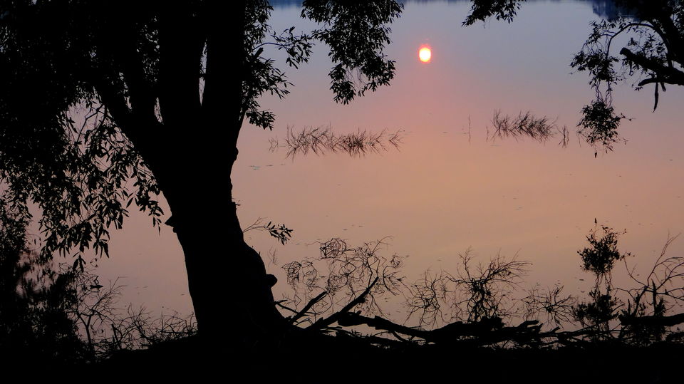 Photo of Forest stories @ Tadoba Andhari reserve 47/56 by Drashti Buch