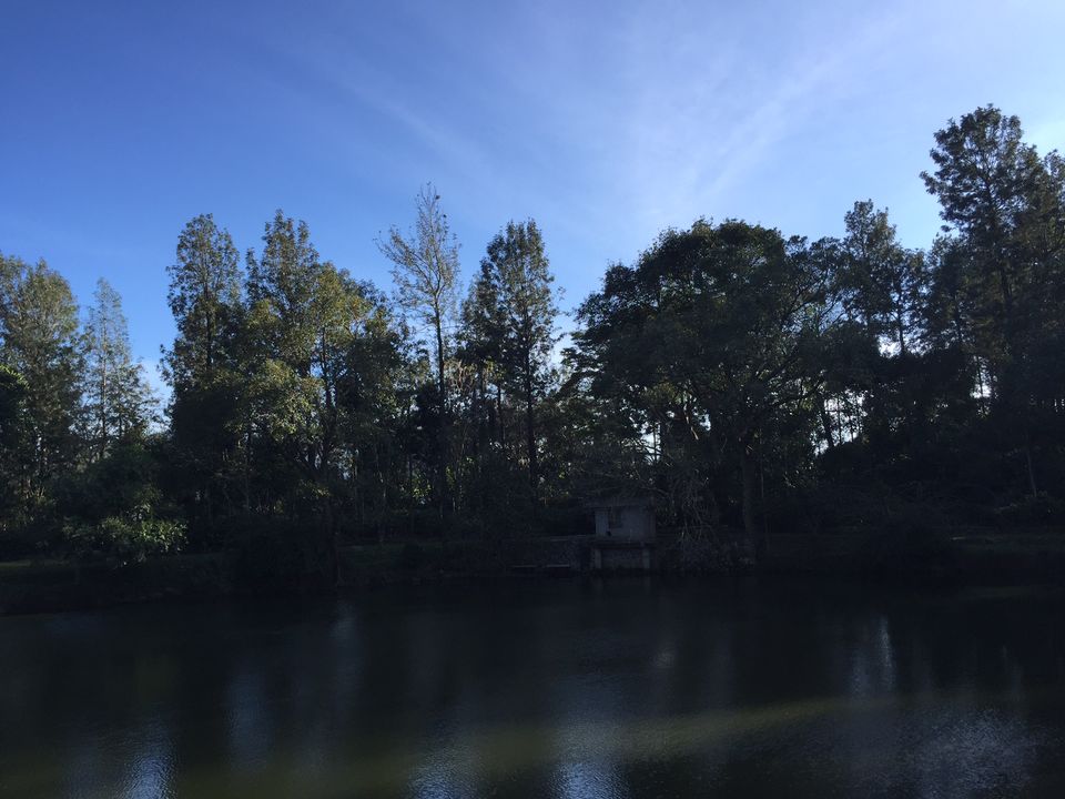 Photo of Finding the new year calm at Yercaud 2/15 by Drashti Buch