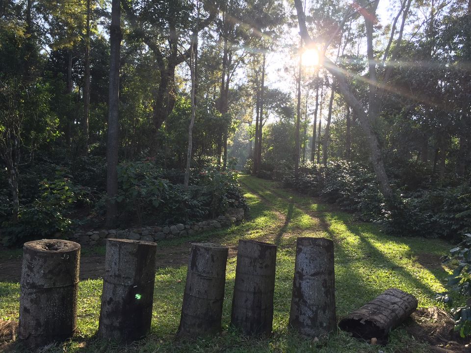 Photo of Finding the new year calm at Yercaud 5/15 by Drashti Buch