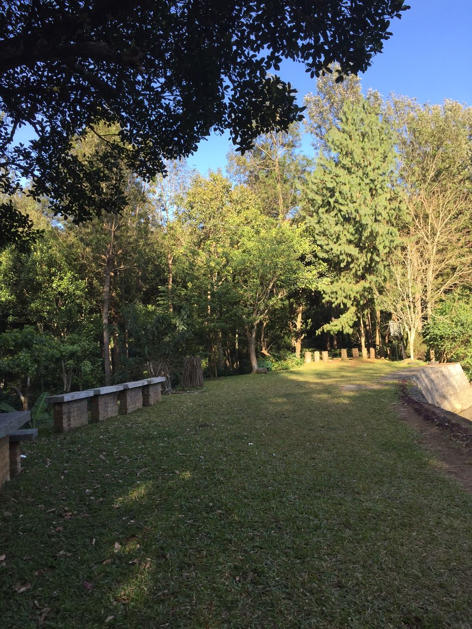 Photo of Finding the new year calm at Yercaud 9/15 by Drashti Buch