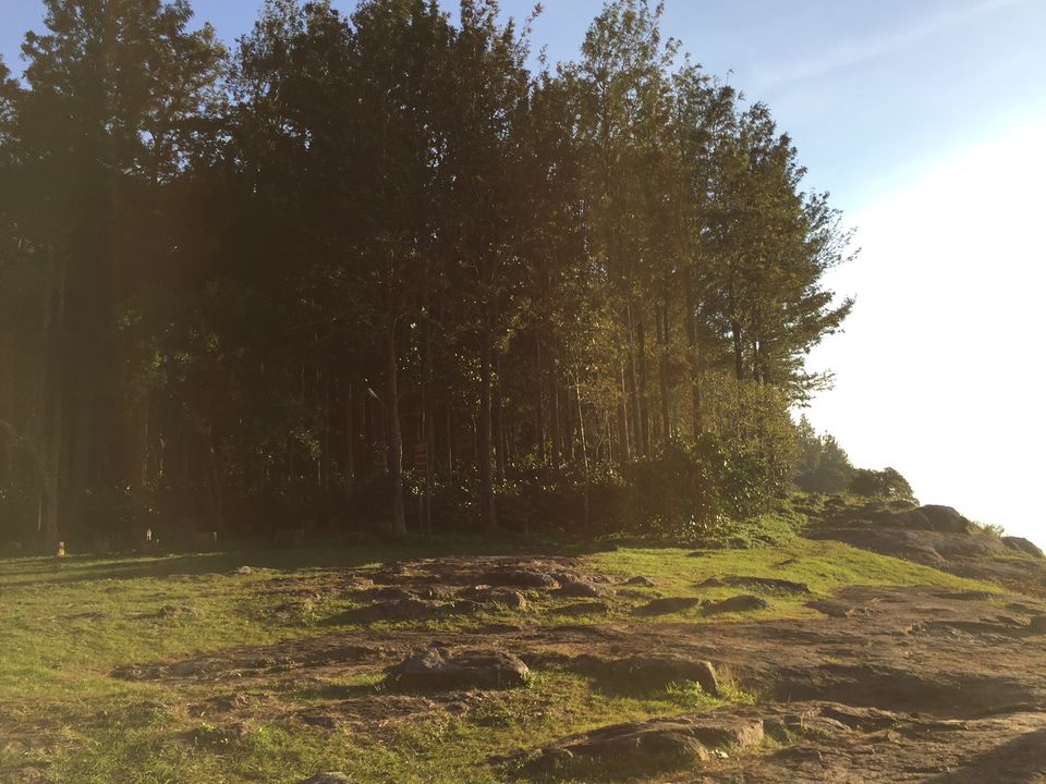 Photo of Finding the new year calm at Yercaud 10/15 by Drashti Buch