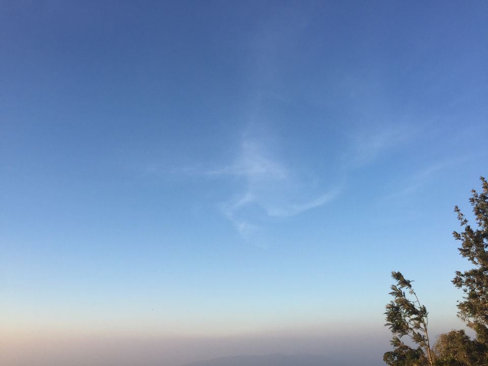 Photo of Finding the new year calm at Yercaud 11/15 by Drashti Buch