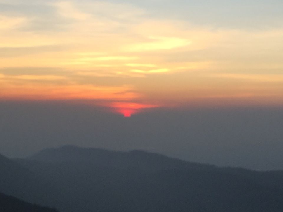 Photo of Finding the new year calm at Yercaud 14/15 by Drashti Buch