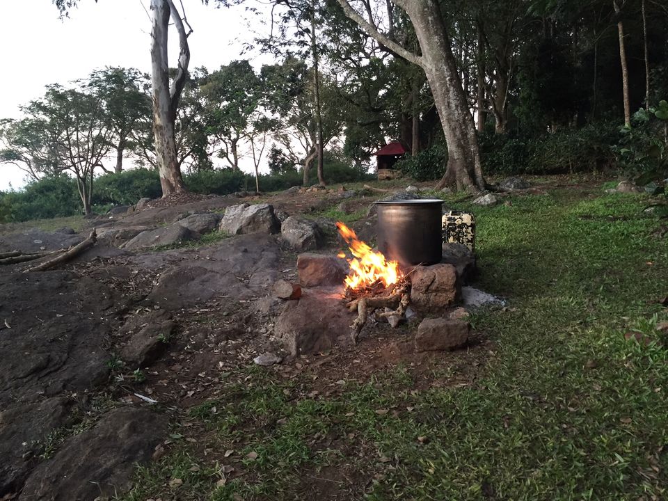 Photo of Finding the new year calm at Yercaud 15/15 by Drashti Buch
