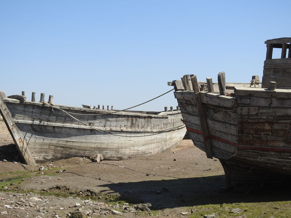 Photo of To the moon and back - Rann of Kutch travel story 3/23 by Drashti Buch