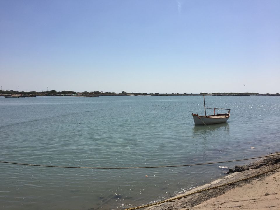 Photo of To the moon and back - Rann of Kutch travel story 6/23 by Drashti Buch
