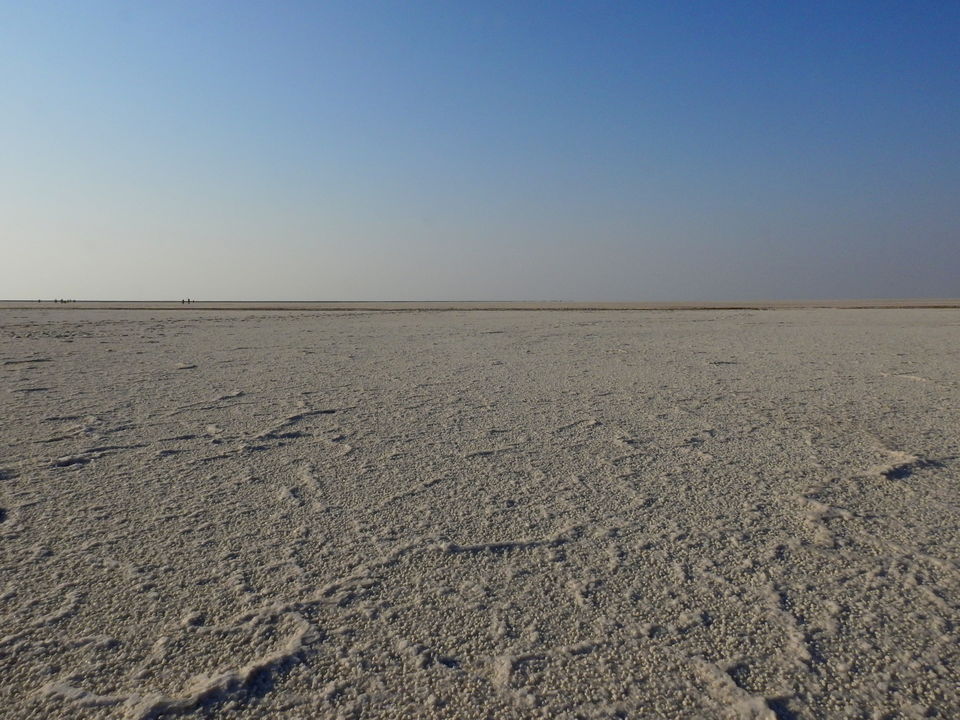 Photo of To the moon and back - Rann of Kutch travel story 13/23 by Drashti Buch