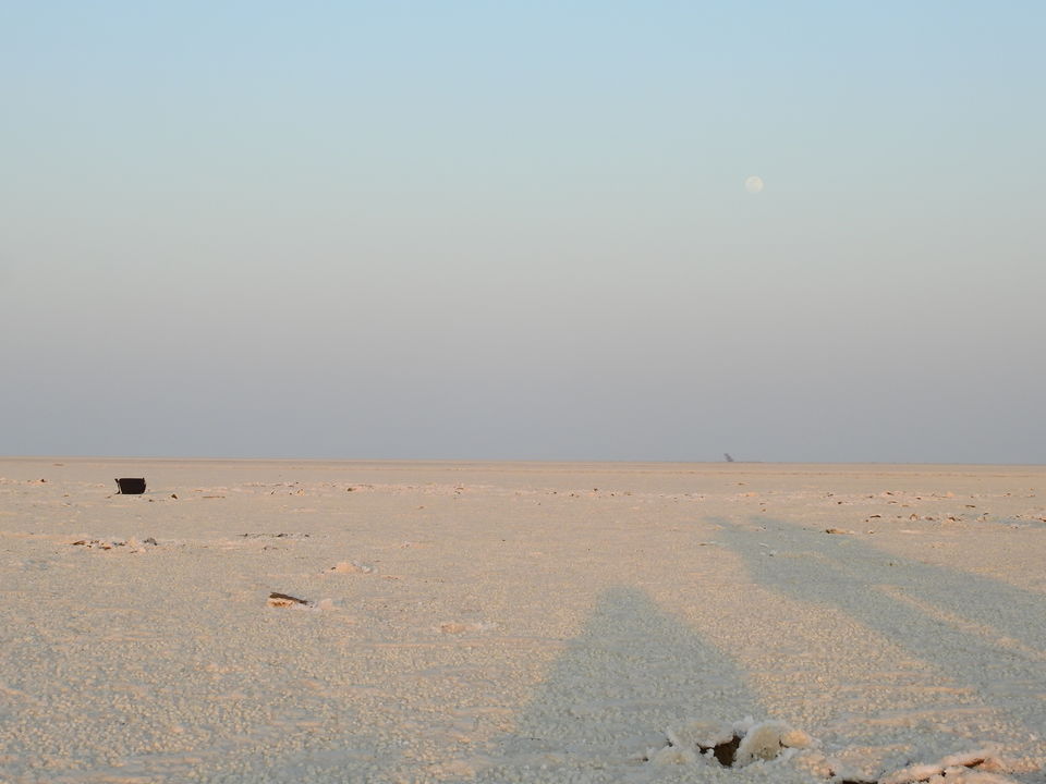 Photo of To the moon and back - Rann of Kutch travel story 14/23 by Drashti Buch