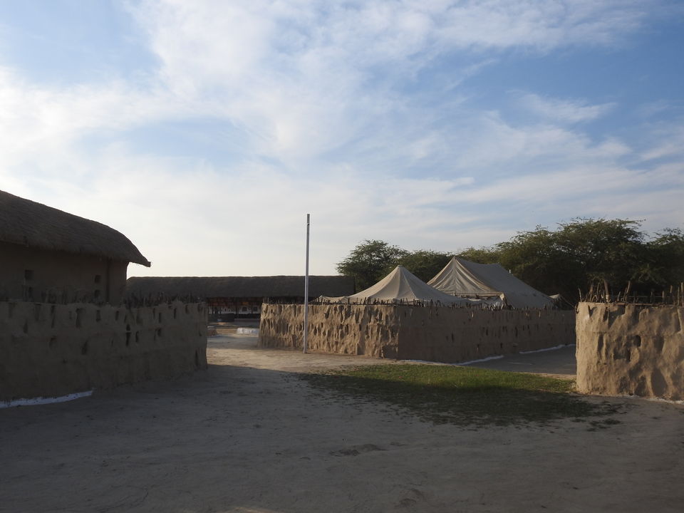 Photo of To the moon and back - Rann of Kutch travel story 18/23 by Drashti Buch