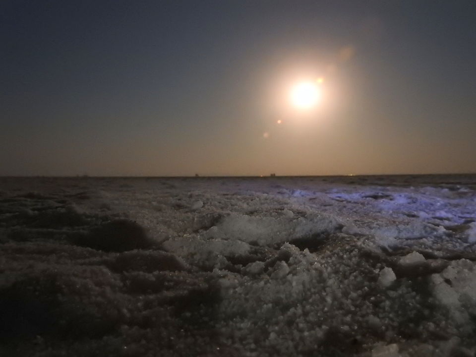 Photo of To the moon and back - Rann of Kutch travel story 21/23 by Drashti Buch