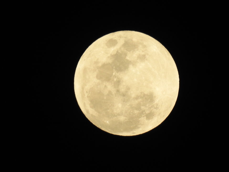 Photo of To the moon and back - Rann of Kutch travel story 22/23 by Drashti Buch