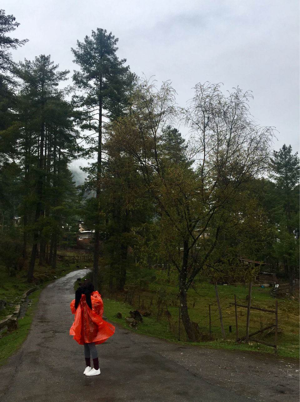 Photo of Solo Travel by Sukhda Gupta