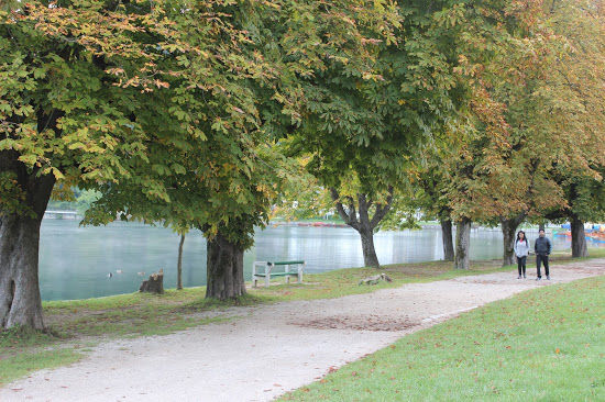 Photo of Slovenia - A hidden gem! 9/30 by Anushree Maheshwari