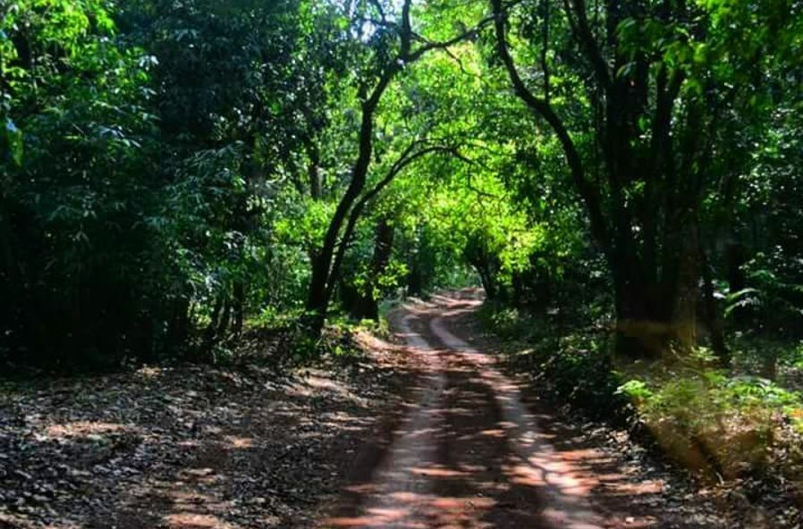 Photo of Why do we end up in Goa! 5/6 by Sanish Nair