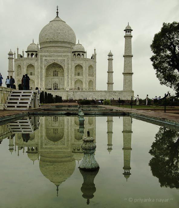 Photo of WANDERLUST: ANT’S-EYE VIEW OF THE TAJ MAHAL 1/3 by sunny nomad