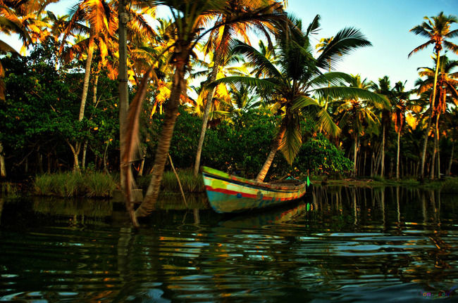 Photo of Poovar, Kerala, India by Harleen Kalsi
