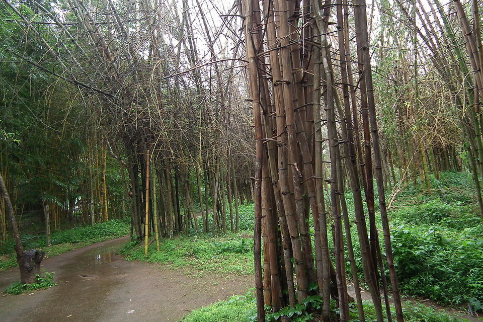 Photo of Madikeri, Karnataka, India by Harleen Kalsi