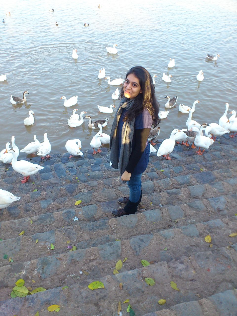 Photo of Sukhna Lake, Sector 1, Chandigarh, India by Harleen Kalsi