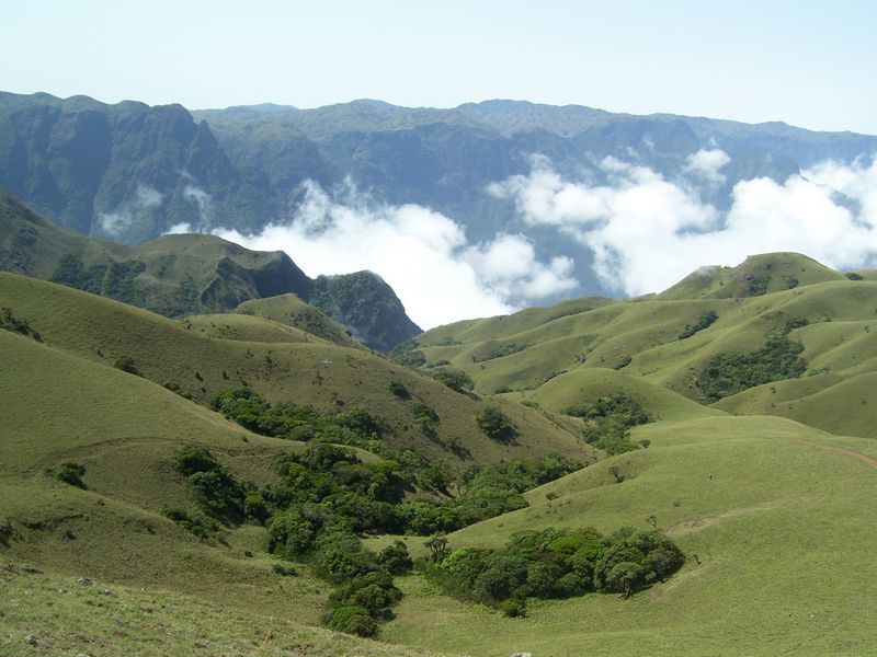 Photo of Mukurthi National Park, Pykara, Sholur, Tamil Nadu, India by Harleen Kalsi