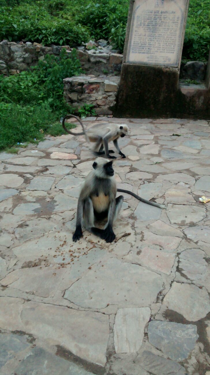 Photo of Paradise Paranormal! Neemrana to Bhangarh 3/54 by Harleen Kalsi