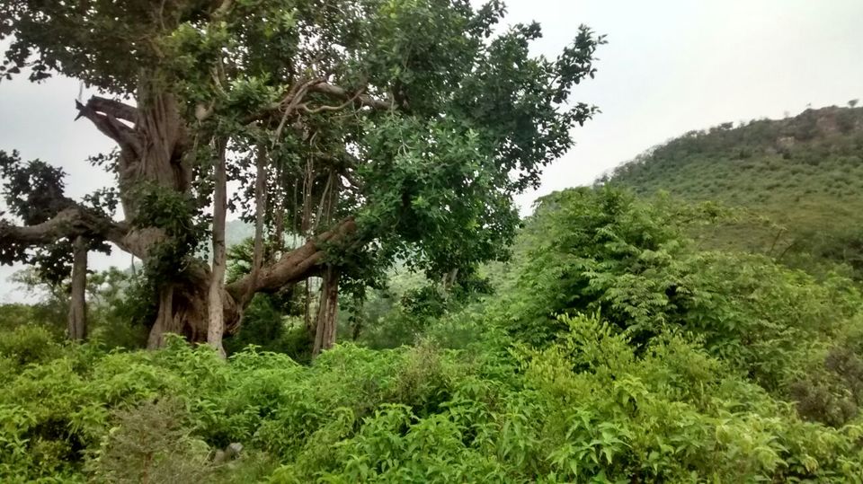 Photo of Paradise Paranormal! Neemrana to Bhangarh 6/54 by Harleen Kalsi