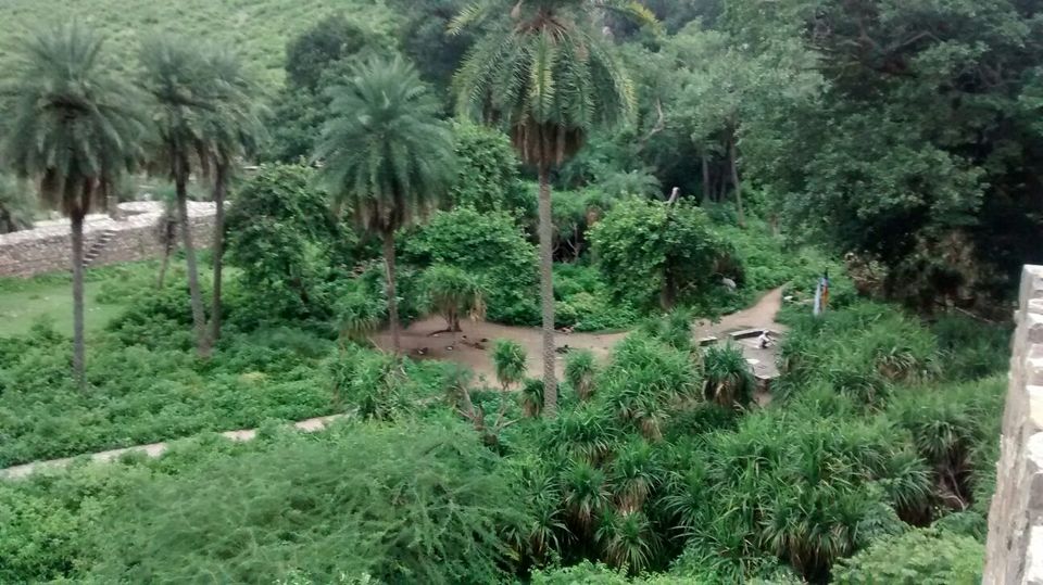 Photo of Paradise Paranormal! Neemrana to Bhangarh 18/54 by Harleen Kalsi