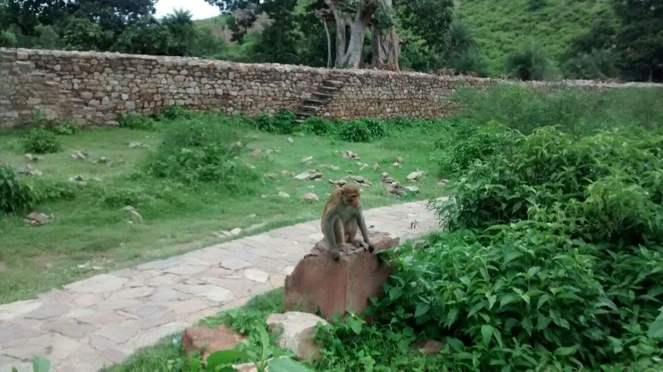 Photo of Paradise Paranormal! Neemrana to Bhangarh 19/54 by Harleen Kalsi