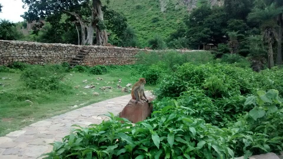 Photo of Paradise Paranormal! Neemrana to Bhangarh 20/54 by Harleen Kalsi