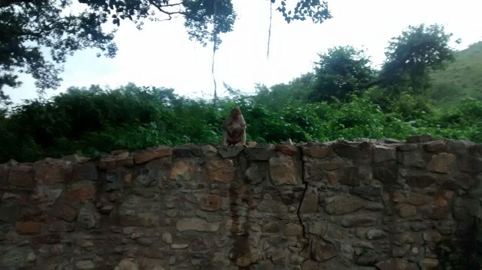 Photo of Paradise Paranormal! Neemrana to Bhangarh 33/54 by Harleen Kalsi