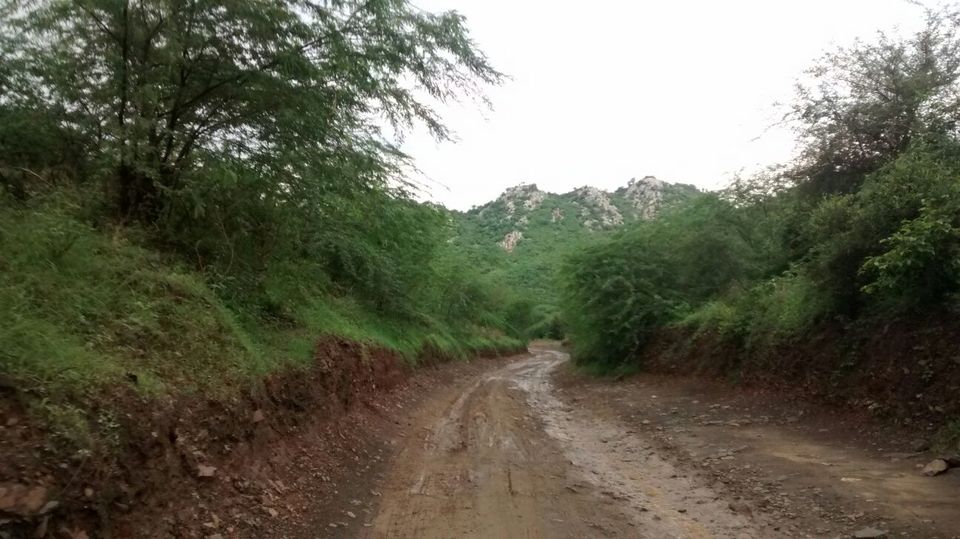 Photo of Paradise Paranormal! Neemrana to Bhangarh 44/54 by Harleen Kalsi