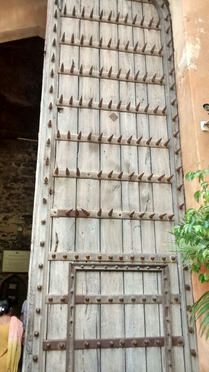 Photo of Paradise Paranormal! Neemrana to Bhangarh 54/54 by Harleen Kalsi