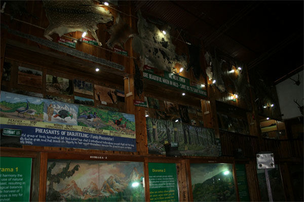 Photo of Land of Lepchas: Kalimpong 4/5 by Harleen Kalsi