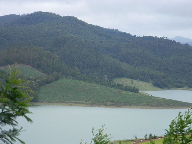 Photo of Colonial blues of the Nilgiri 2/5 by Harleen Kalsi