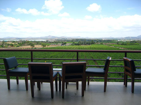 Photo of Dolce Vita in the vineyards of Nashik 3/6 by Harleen Kalsi