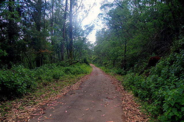 Photo of Colonial blues of the Nilgiri 5/5 by Harleen Kalsi