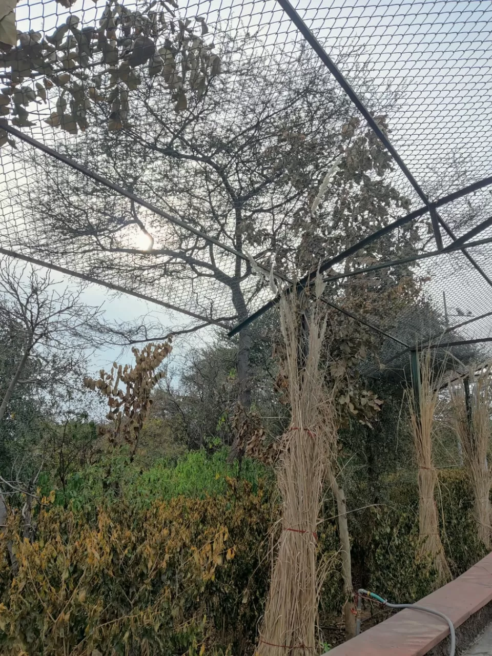 Photo of Nahargarh Biological Park By nandini sharma