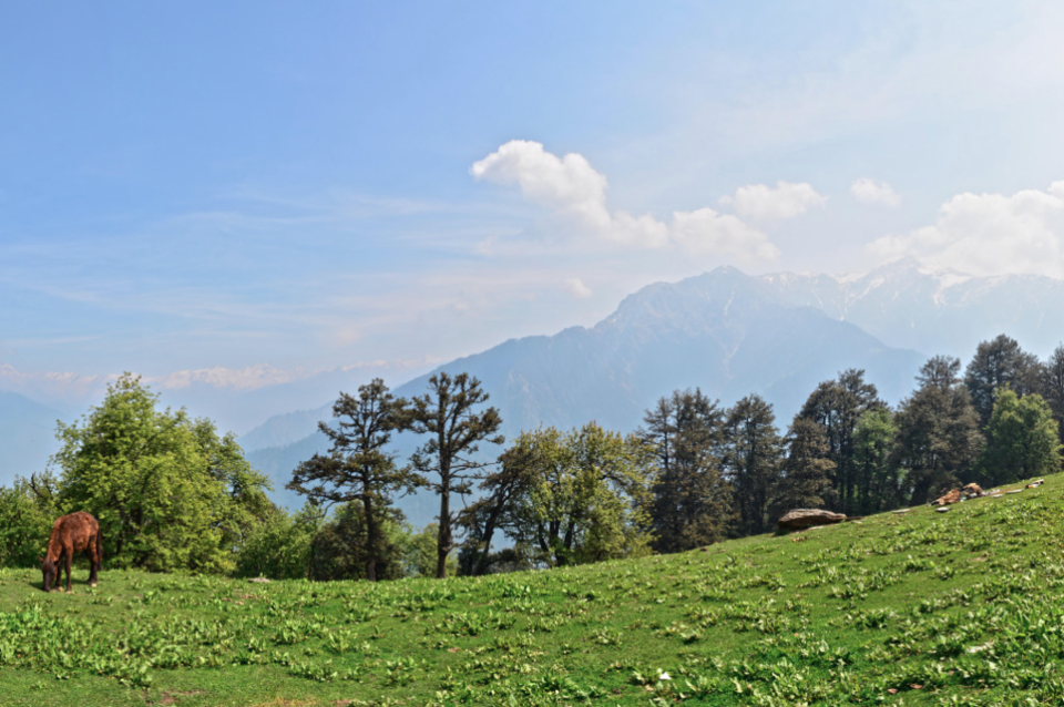 Photo of Chanddrkhani Pass (Part 2) - The Photo Story 1/7 by Rishi Raj Singh