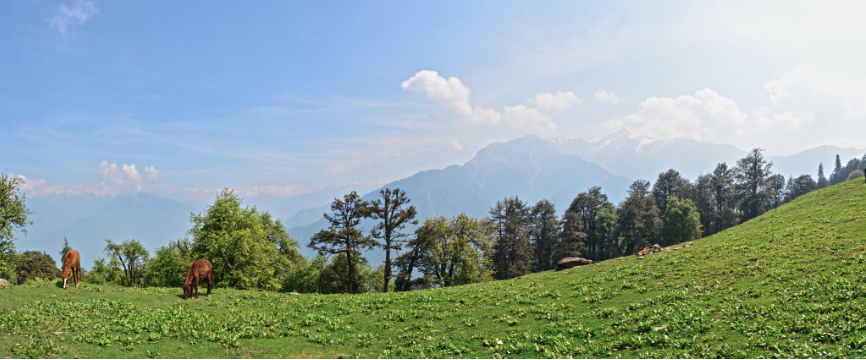 Photo of Chanddrkhani Pass (Part 2) - The Photo Story 5/7 by Rishi Raj Singh
