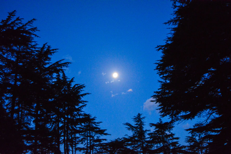 Photo of Chail, Himachal Pradesh, India by Rishi Raj Singh