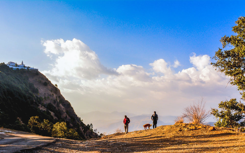 Photo of My favorite travel companion - A walk to remember! 1/1 by Rishi Raj Singh