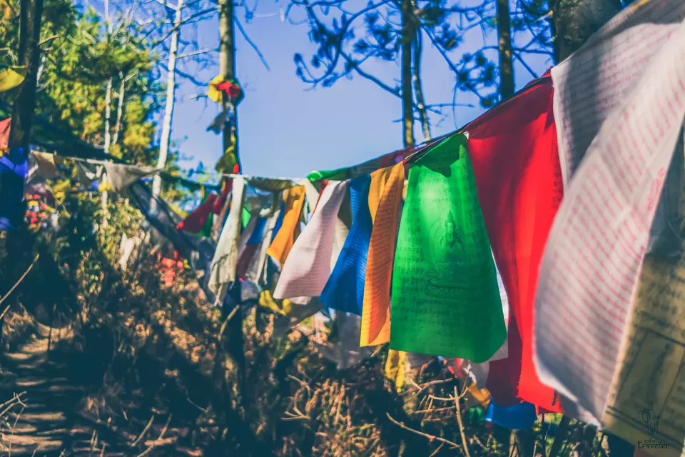 Photo of Bhutan: Land of the Thunder Dragon - Photo Story by Rishi Raj Singh