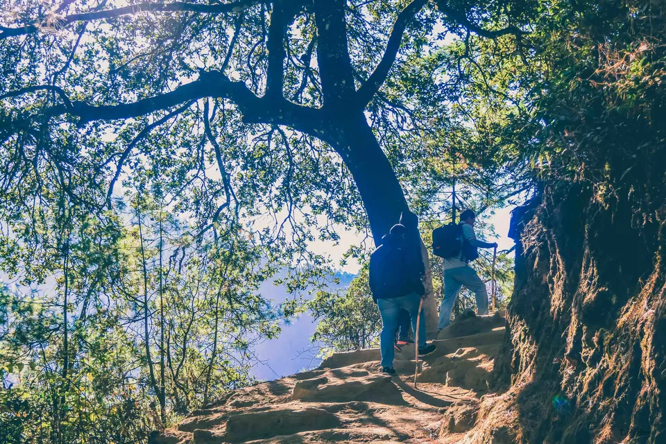 Photo of Tiger's Nest, Paro, Bhutan by Rishi Raj Singh
