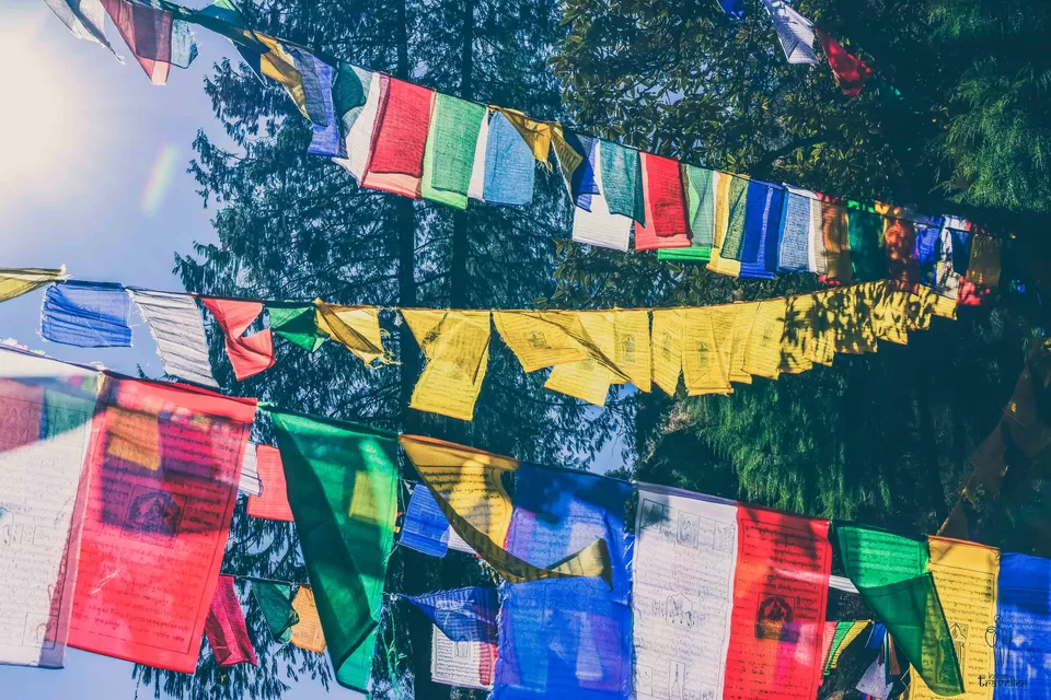 Photo of Bhutan: Land of the Thunder Dragon - Photo Story by Rishi Raj Singh