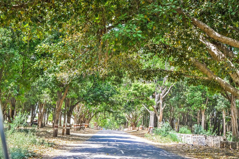 Photo of Bhangarh Fort - Story behind India's most haunted place 3/14 by Rishi Raj Singh